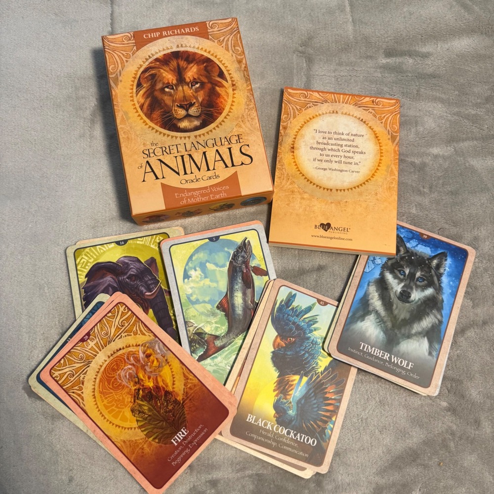 Secret‎ Language Animals Oracle Cards Deck Chip Richards Tarot Spiritual Set - Picture 3 of 8